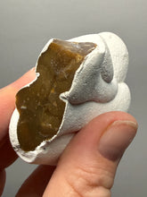 Load image into Gallery viewer, Chichaoua Menalite “Fairy Stone” Concretion | Natural Collector Display Specimen | Morocco
