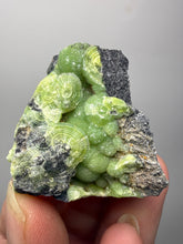 Load image into Gallery viewer, High-Grade Green Wavellite Collectors Specimen - Radiating Botryoidal Crystal Formation - Arkansas, USA
