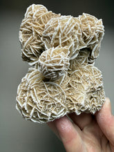 Load image into Gallery viewer, Desert Rose Selenite (Gypsum) — Mineral Display Specimen | Mexico
