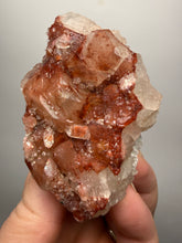 Load image into Gallery viewer, Rare Red Apophyllite Crystal Cluster – High Grade Collector Mineral Specimen | India
