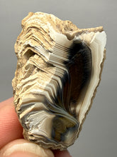 Load image into Gallery viewer, Premium Sumatra Agate (Banded Chalcedony) Display Specimen | Indonesia
