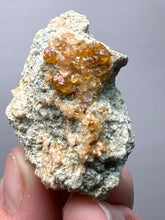 Load image into Gallery viewer, Hessonite Garnet Cluster on Matrix – Natural Collector Specimen from Pakistan | High-Grade Orange-Red Garnet Crystals
