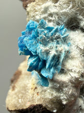 Load image into Gallery viewer, Rare Electric Blue Cavansite on Druzy Matrix – Collector Mineral Specimen | India

