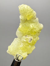 Load image into Gallery viewer, Vibrant Yellow Brucite Thumbnail Mineral Specimen | Collector Crystal from Killa Saifullah District in Balochistan Province, Pakistan
