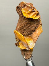 Load image into Gallery viewer, High-Grade Orange Wulfenite Collector Display Specimen | La Morita Mine, Chihuahua, Mexico
