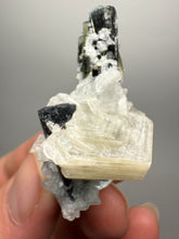 Load image into Gallery viewer, Blue and Dark Green Cap Stak Nala Tourmaline on Cleavelandite Matrix – Haramosh Mountains, Pakistan
