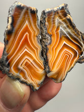Load image into Gallery viewer, High-Grade Indonesian Sumatra Agate Pair – Vibrant Banded Chalcedony with Rich Color Zoning | Ethical Lapidary &amp; Collector Display Specimens
