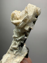 Load image into Gallery viewer, Dark Green Cap Stak Nala Tourmaline with Flower Cleavelandite Matrix – Haramosh Mountains, Pakistan
