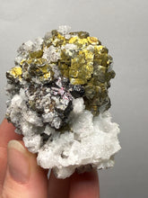 Load image into Gallery viewer, High-Grade Golden Pyrite, Galena &amp; Sphalerite on Quartz | Collector Mineral Specimen | Madan Ore Field, Rhodope Mountains, Bulgaria
