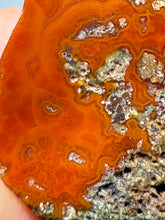 Load image into Gallery viewer, Polished Malawi Agate Half – High-Grade African Banded Agate Display Specimen
