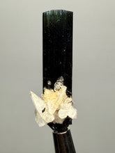 Load image into Gallery viewer, Dark Green Cap Stak Nala Tourmaline and Cleavelandite – Haramosh Mountains, Pakistan | Thumbnail Specimen
