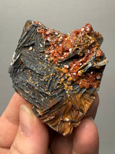 Load image into Gallery viewer, Natural Vanadinite on Matrix | Collector Mineral Specimen | Morocco
