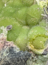 Load image into Gallery viewer, High-Grade Green Wavellite Collectors Specimen - Radiating Botryoidal Crystal Formation - Arkansas, USA

