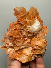 Load image into Gallery viewer, Chalcedony Quartz Rose Agate Collector Mineral Specimen – Morocco
