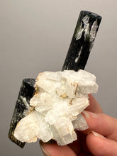 Load image into Gallery viewer, Blue Cap Dark Green Stak Nala Tourmaline on Cleavelandite Matrix – Haramosh Mountains, Pakistan

