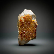 Load image into Gallery viewer, Spessartine Garnet on Smoky Quartz | Wushan Spessartine Mine, Tongbei, Yunxiao Co., Zhangzhou, Fujian, China

