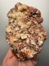 Load image into Gallery viewer, XL Shiny Peach Stilbite on Druzy Red Heulandite – High-Grade Collector Mineral Specimen from India
