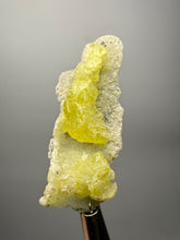 Load image into Gallery viewer, Vibrant Yellow Brucite Thumbnail Mineral Specimen | Collector Crystal from Killa Saifullah District in Balochistan Province, Pakistan
