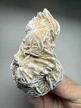 Load image into Gallery viewer, Desert Rose Selenite (Gypsum) — Mineral Display Specimen | Mexico
