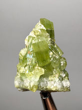 Load image into Gallery viewer, Lime Green Tourmaline on Matrix– Pegmatite Mineral Specimen from Pakistan
