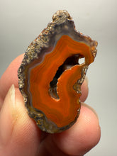 Load image into Gallery viewer, Lot of 4 Small Malawi Agate Halves – Polished Rare Colorful Collector Specimens
