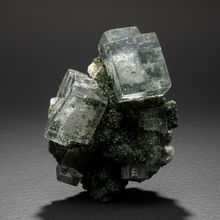 Load image into Gallery viewer, Cubic Fluorite Crystal Thumbnail Specimen | Chashan Mine, Chenzhou, Hunan, China | Collector Mineral Display
