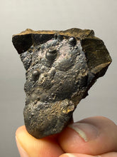 Load image into Gallery viewer, Botryoidal Stalactite Goethite (Iron Oxyhydroxide) Display Specimen | Turkey
