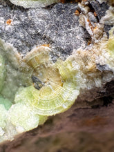 Load image into Gallery viewer, High-Grade Green Wavellite Collectors Specimen - Radiating Botryoidal Crystal Formation - Arkansas, USA
