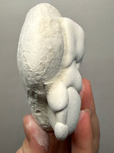 Load image into Gallery viewer, Chichaoua Menalite “Fairy Stone” Concretion | Natural Collector Display Specimen | Morocco

