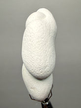 Load image into Gallery viewer, Chichaoua Menalite “Fairy Stone” Concretion | Natural Collector Display Specimen | Morocco
