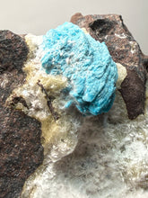 Load image into Gallery viewer, Rare Electric Blue Pentagonite on Druzy Matrix – Collector Mineral Specimen | India

