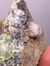 Load image into Gallery viewer, High-Grade Green Wavellite Collectors Specimen - Radiating Botryoidal Crystal Formation - Arkansas, USA

