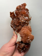 Load image into Gallery viewer, Rare Red Apophyllite + Druzy Red Stilbite Flowers — Deccan Traps, India
