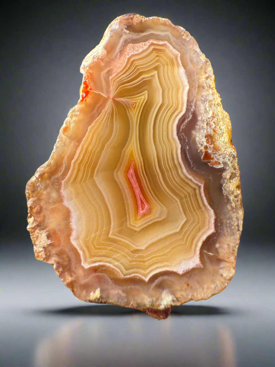 High-Grade Parallax Banded Laguna Agate – Bright Red & Yellow Crystal from Mexico