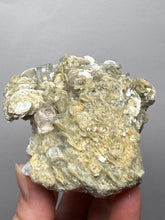 Load image into Gallery viewer, Premium Aquamarine with Mica on Matrix  Collector Mineral Specimen – Nagar Valley, Pakistan
