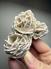 Load image into Gallery viewer, Desert Rose Selenite (Gypsum) — Mineral Display Specimen | Mexico
