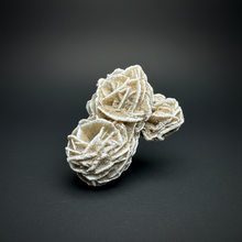 Load image into Gallery viewer, Desert Rose Selenite (Gypsum) — Mineral Display Specimen | Mexico
