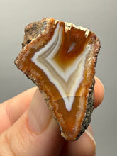 Load image into Gallery viewer, Premium Sumatra Agate (Banded Chalcedony) Display Specimen | Indonesia
