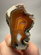 Load image into Gallery viewer, Indonesian Sumatra Agate Pair – Vibrant Banded Chalcedony with Rich Color Zoning | Ethical Lapidary &amp; Collector Display Specimens
