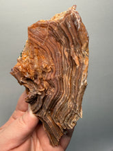 Load image into Gallery viewer, Chalcedony Quartz Rose Agate Collector Mineral Specimen – Morocco

