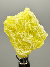 Load image into Gallery viewer, Vibrant Yellow Brucite Thumbnail Mineral Specimen | Collector Crystal from Killa Saifullah District in Balochistan Province, Pakistan
