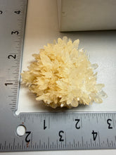 Load image into Gallery viewer, High-Grade Flower Coral Aragonite Crystal Specimen – Wenshan Mine, Yunnan, China

