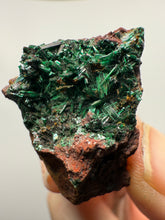 Load image into Gallery viewer, Brochantite Collector Mineral Specimen – Vivid Green Copper Crystals from Morocco
