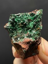 Load image into Gallery viewer, Brochantite Collector Mineral Specimen – Vivid Green Copper Crystals from Morocco
