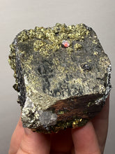 Load image into Gallery viewer, 3” New Find: Huanzala Mine Peru Sphalerite + Chalcopyrite + Apatite + Calcite + Quartz | Collector Display Specimen
