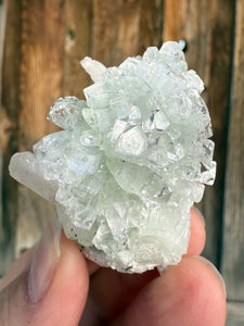 Light Mint Green Radial (Disco Ball) Apophyllite + Pink Stilbite • Maharashtra, India