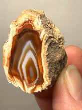 Load image into Gallery viewer, Premium Sumatra Agate (Banded Chalcedony) Display Specimen | Indonesia
