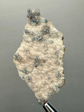 Load image into Gallery viewer, Blue-Green Chrysocolla in Botryoidal Chalcedony Cabinet Specimen | Indonesia
