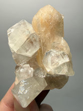 Load image into Gallery viewer, High-Grade Apophyllite on Pink Stilbite Zeolite | Indian Collector Mineral Specimen

