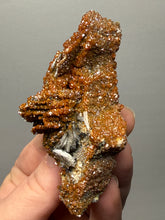 Load image into Gallery viewer, Natural Vanadinite on Matrix | Collector Mineral Specimen | Morocco
